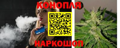 дурь Сланцы