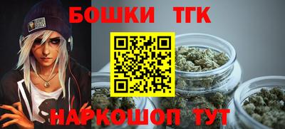 дурь Сланцы