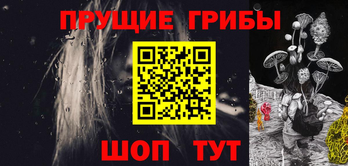 цены наркотик  Вход с VPN  Сальск  Псилоцибиновые грибы Psilocybine cubensis 