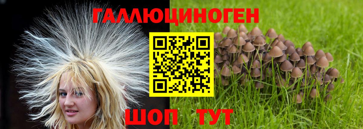 Псилоцибиновые грибы GOLDEN TEACHER Сальск