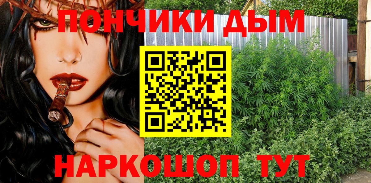 Марихуана конопля  Конопля MAZAR  Сальск  Вход с VPN  Бошки Шишки сатива 